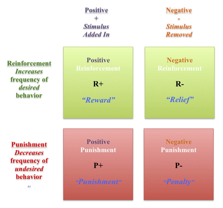 Positive Reinforcement Matrix For Blog Jpg - Anima Learning